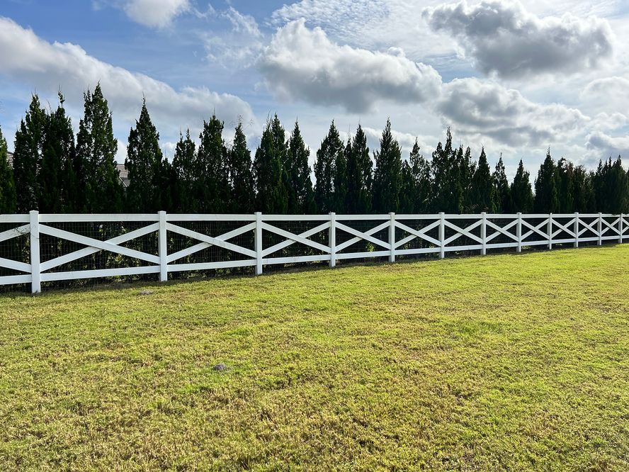 PVC fences 6