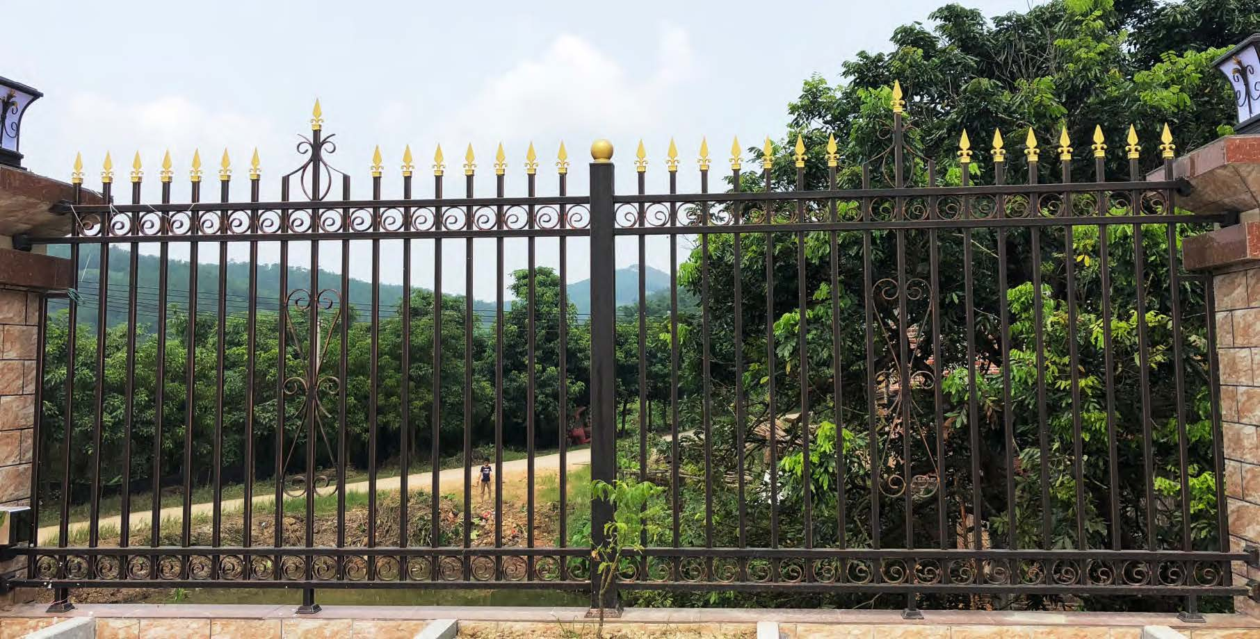 Traditional metal fence and gate